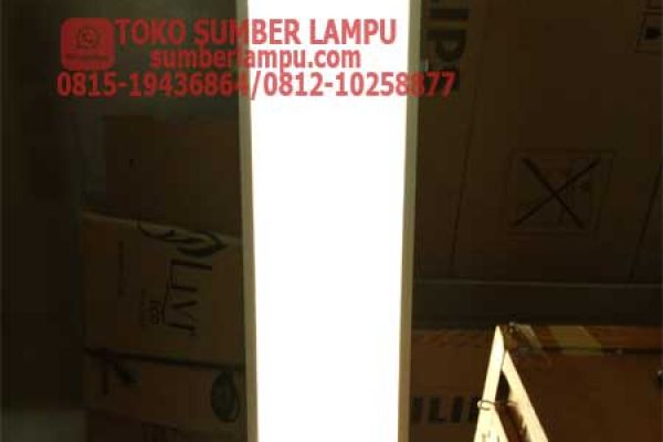lampu philips 30x120 cm