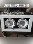 Lampu Halospot 2x12 watt COB LED